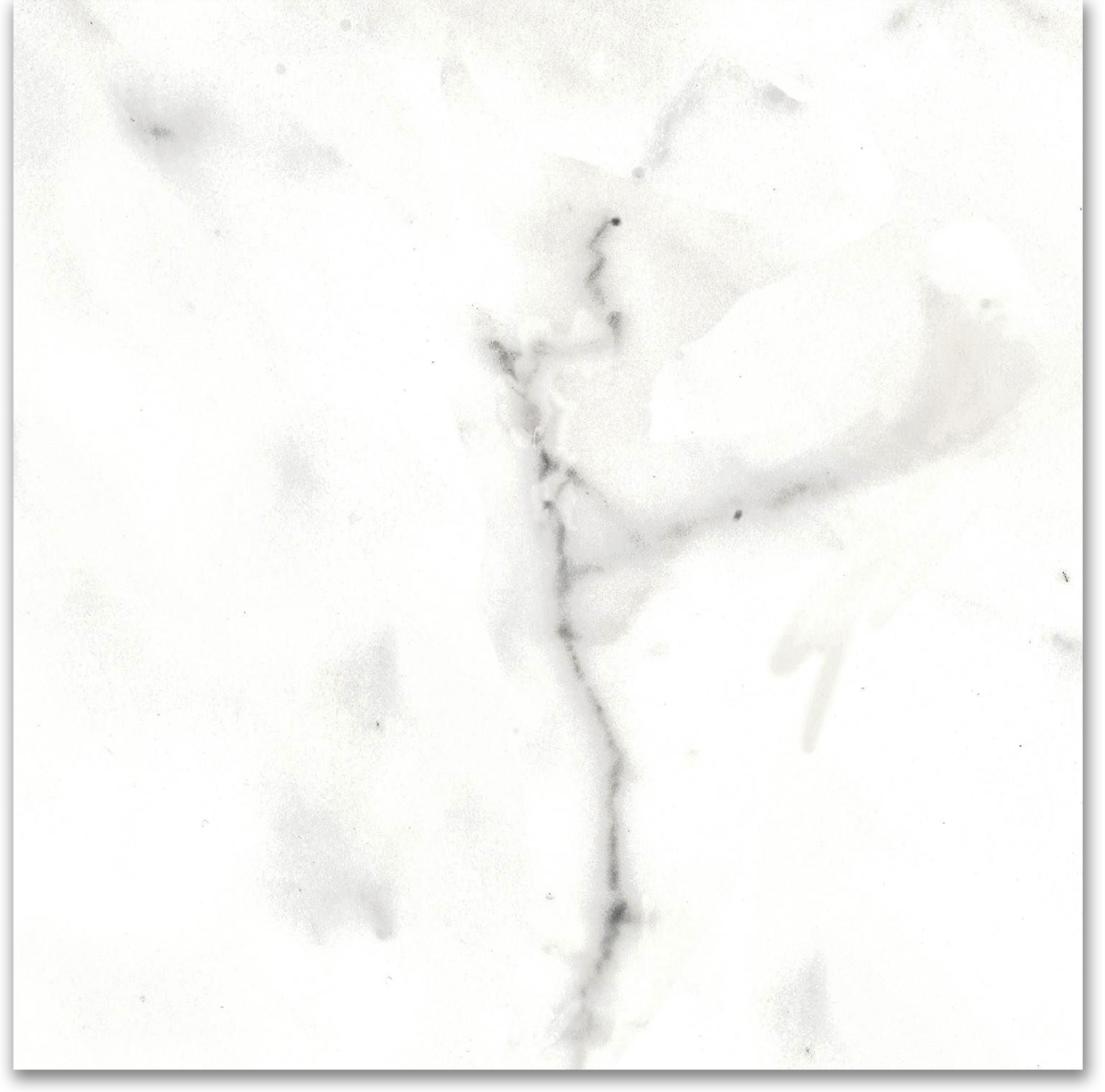 12X12F Calacatta | Quality Carpet Inc.