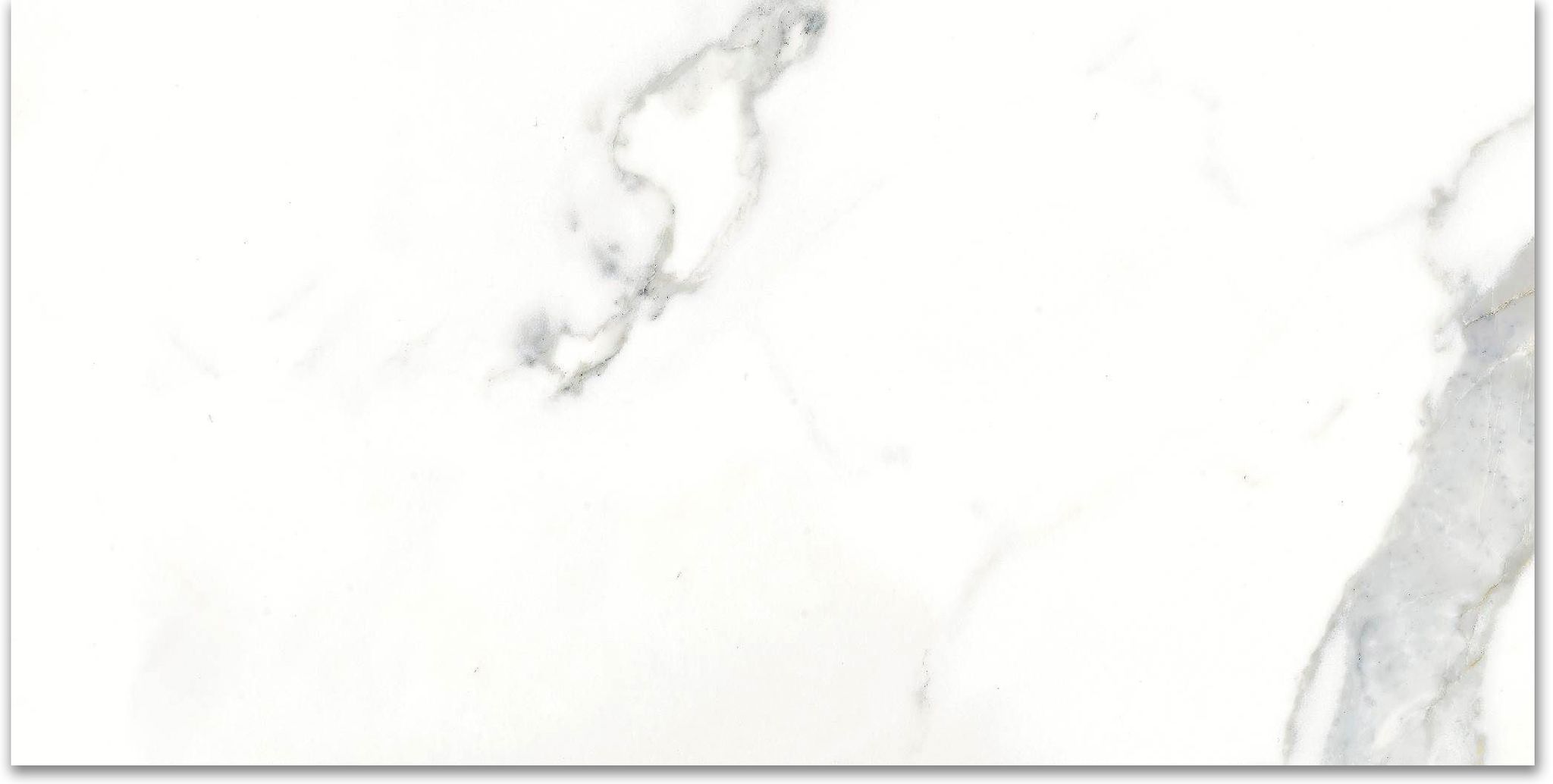 12X24F Calacatta | Quality Carpet Inc.